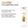 Pantene PRO- V Shampoo Anti Hair Fall - 200Ml