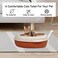 Semi-closed cat litter box &amp; anti splash plastic sand box with Scoop, Suitable for all type of cat, Detachable and Reusable cat Toilet, Easy to clean 38 cm L (Beige and Brown color)