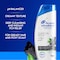 Head &amp; Shoulders Charcoal Detox Anti-Dandruff Shampoo 400ml Pack of 2