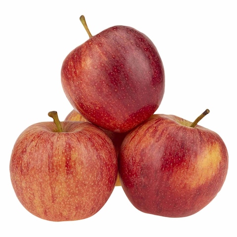 Apple Gala Pack
