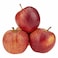 Apple Gala Pack