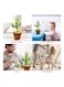 Xiuwoo Dancing Plant Cactus Plush Stuffed Toy With 120 Music Recording Audio And USB Charging