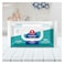 Carrefour Cool Mint Antibacterial Wipes 40 Count