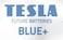 Tesla 10 قطع بطاريات جافة أزرق 10 سم