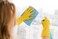 ZALCOON Household Cleaning Gloves, Professional Natural Rubber Latex Dishwashing Gloves, Reusable Kitchen  Gloves (Medium)