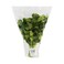 Fresh Coriander 50g
