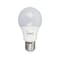 Ecolite Led Bulb - 20 Watt - 6500K - Cool Light