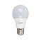 Ecolite Led Bulb - 20 Watt - 6500K - Cool Light