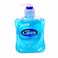 Carex Handwash 250ml Assorted