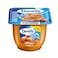 Danette Dessert Caramel Flavour 90g