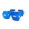 Harley Fitness Vinyl Dumbbells - Color-Coded Hand Weights for Home Workouts - Durable and Comfortable Grip. (10, Kilograms)