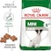 Royal Canin Shn Mini Adult 8+ 2 Kg Size Health Nutrition Dog Food, Multicolor, Mini Adult 8+ Dog Dry Food