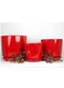 Vsell24&nbsp;Red Ceramic Red Flower Pot With Drainage Hole-Small
