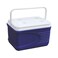 Princeware 3408 Ice Box Cooler 14 Liters