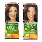 Buy Garnier Color Naturals Creme Nourishing Permanent Hair Colour 6.34 Chocolate Pack of 2 in UAE