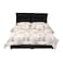 In House Le&oacute;n Velvet Bed Frame - Queen - 200x140 cm - Black