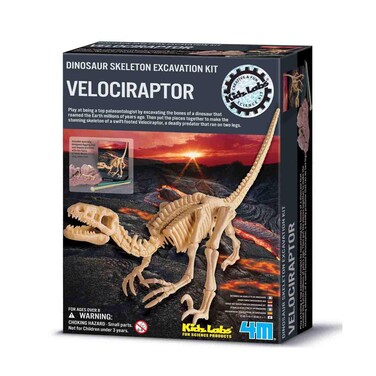 4M كيدزلابز مجموعة حفر الهيكل العظمي للفيلوسيرابتور