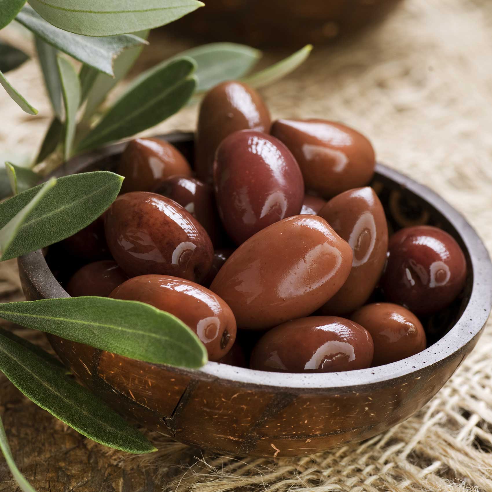 كالاماتا كولوسال زيتون يوناني