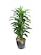 Generic Artificial Plant With Planter Green