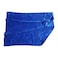 Home Pro Floor Cloth Blue 50x70cm