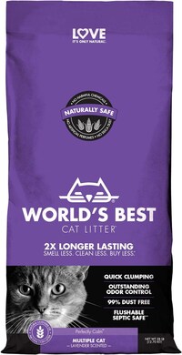 Buy world's best cat litter sale