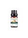 Yiitay Ginger Germinal Essential Hair Growth Oil 10ml