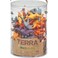 Terra Dinosaurs Playset AN6003Z Multicolour Pack of 60