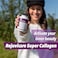 Rejuvicare Super Collagen, Collagen Hydrolysate, 500 mg, 90 Capsules