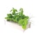 Regular Hydroponic Salad Bar 450g
