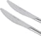 Royalford 2 Pcs Table Knife