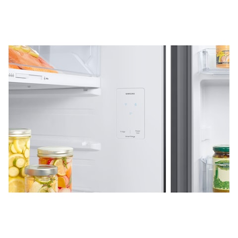 Samsung Fridge Rt38Cb66218C 393L