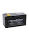 Terminator Sealed Lead-Acid Battery