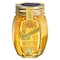 Langnese Acacia Honey With Comb 500g