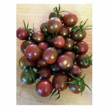 Tomato Cherry Chocolate 250g