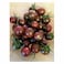 Chocolate Cherry Tomato 250g