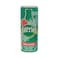 Perrier Sparkling Water Watermelon 250ML X10