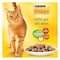 Friskies Cat Food Salmon In Gravy 85g