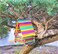 Lavish Colorful Natural Wooden Popsicle Sticks For Diy Hand Art Crafts Size [150X20X2Mm, 50-Units]
