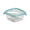 Curver Fresh and Go Food Keeper Container - 250ml - Clear
