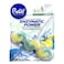 BRAIT TOILET BLOCK POWER LEMON 45G