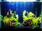 2-4mm Super Naturals River Black Sand Aquarium Substrate For Fish Tank Vase Fillers, Fairy Garden, Landscaping Black Plant Soil For Pot Decorations-10kg