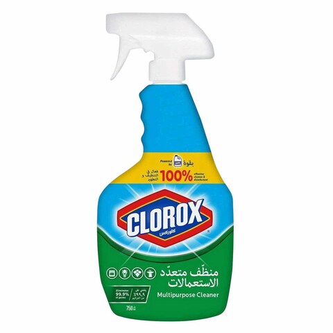 Clorox Multipurpose Cleaner 750 mlx2