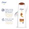 Dove Shampoo for Frizzy and Dry Hair Nourishing Oil Care for up to 100% Smoother Hair 600ml