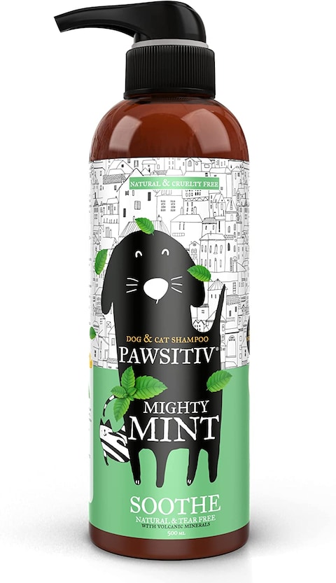 Pawsitiv Natural and Tearless Shampoo for Dogs &amp; Cats - Soothes Itchy &amp; Dry Skin, Gives Healthy &amp; Shiny Coat, Has Calming effect with Long Lasting Odour Control - 500ML (Mint with Calendula)