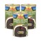 NATCO Sarson Ka Saag 3 x 450gr