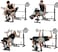 Marshal Fitness Weight Lifting Bench with Preacher Curl Leg Developer Adjustable for Olympic Workout -MfDS-620A