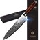 LEVINCHY Damascus Chef's Knife 8 inch Professional Handmade Damascus Stainless Steel Kitchen Knife Razor Sharp, Superb Edge Retention, Stain &amp; Corrosion Resistant, Ergonomic PAKKA Wood Handle