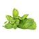 Nidal Organic Mint