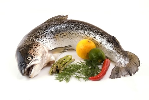 Fresh Whole Salmon