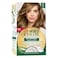 Wella Kit Soft Hair Color 71 Ash Blonde